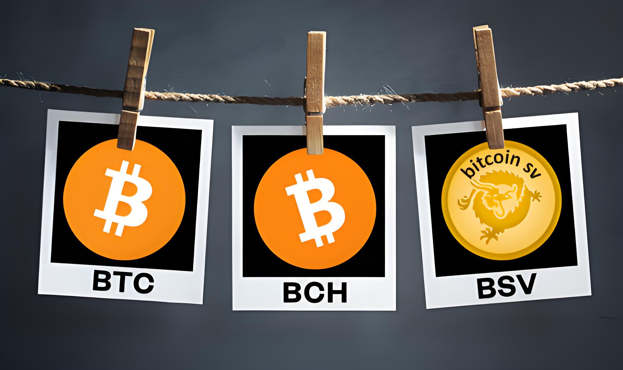 网易手机端下载全攻略：安全吗？失败怎么办？官方指南来了